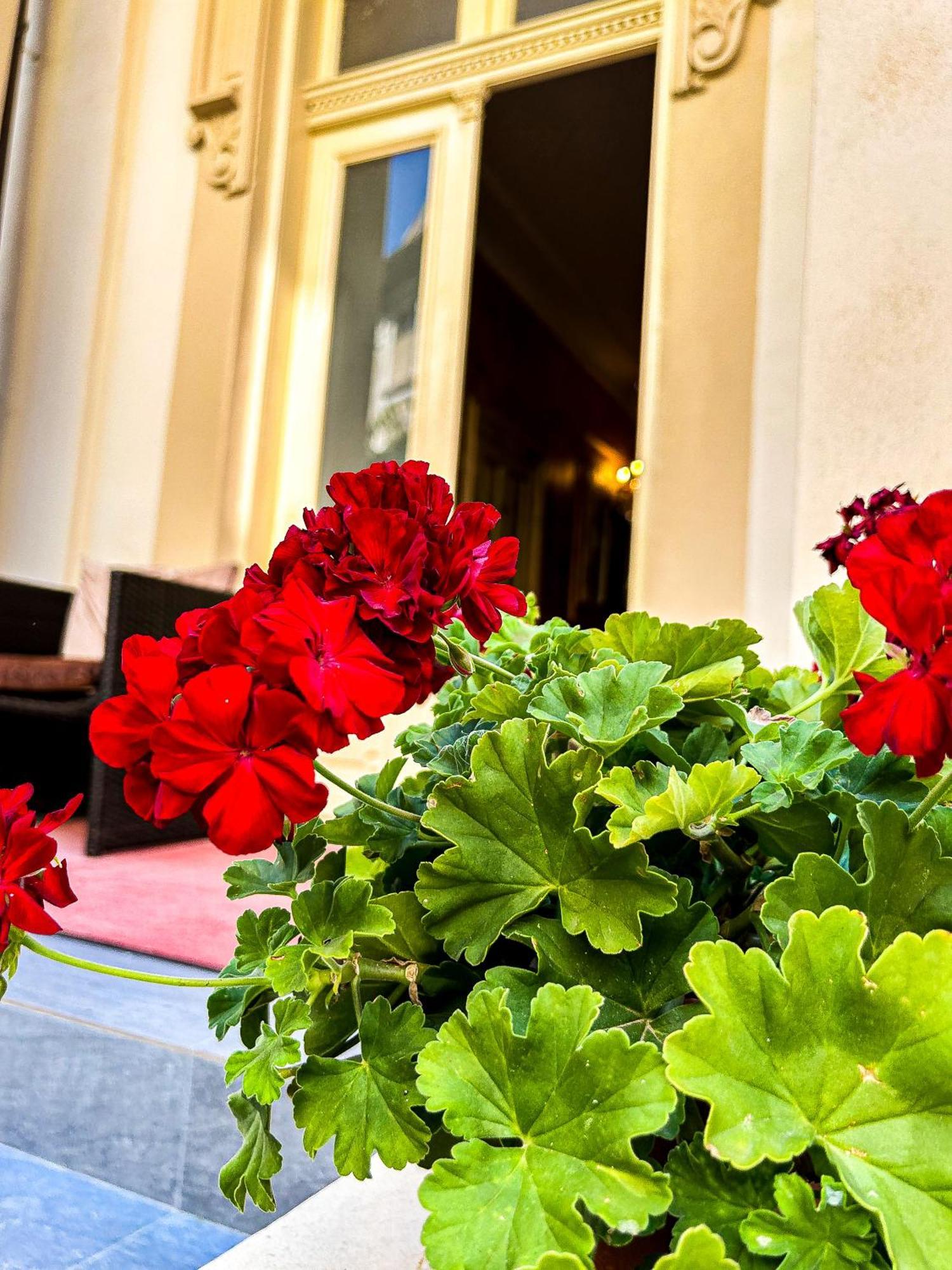 Hotel Boutique Casa Vermont Bükreş Dış mekan fotoğraf
